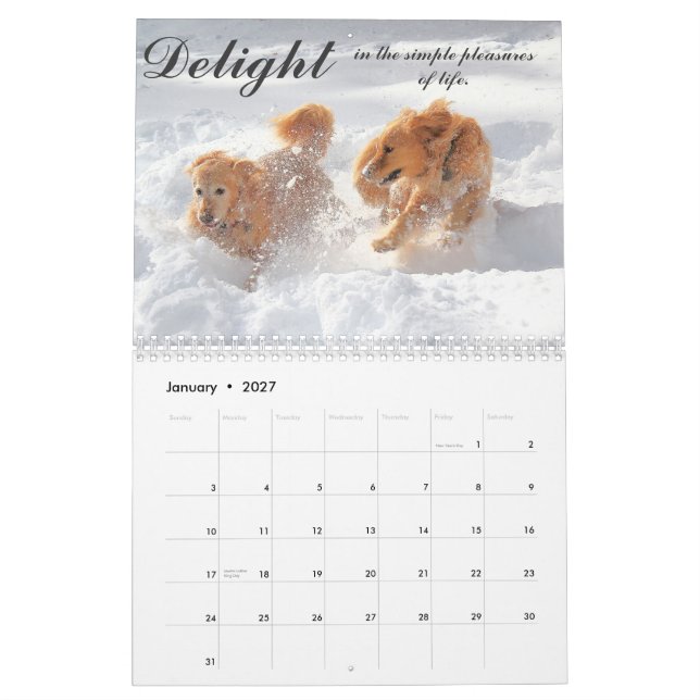 2013 ParkerPup Calendar (Jan 2027)