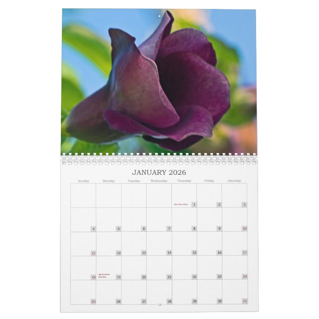 2013 Photography Calendar (Jan 2026)