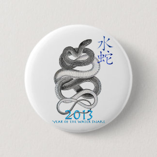 2013 PINBACK BUTTON
