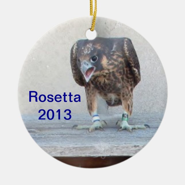 2013 Rosetta Ornament (Front)