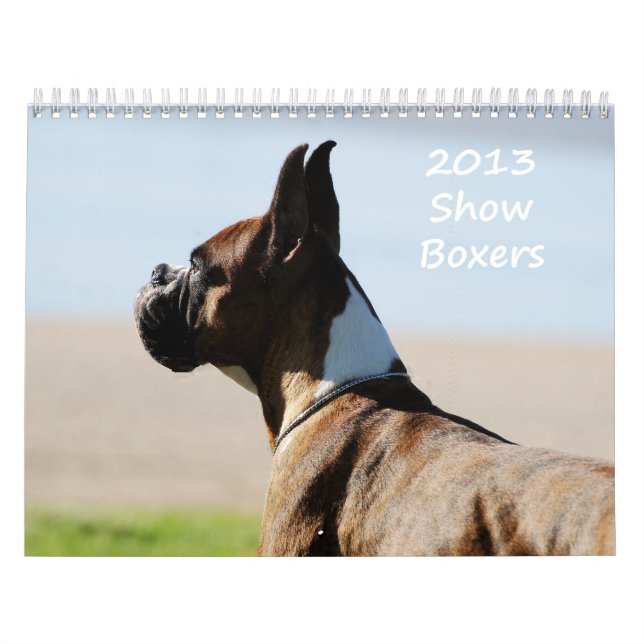 2013 Show Boxer Calendar (Cover)