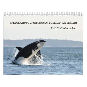2013 Southern Resident Killer Whale Calendar by OrcaWatcher at Zazzle