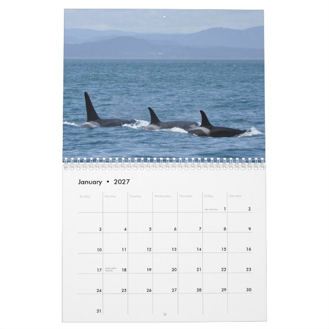 2013 Southern Resident Killer Whale Calendar (Jan 2027)