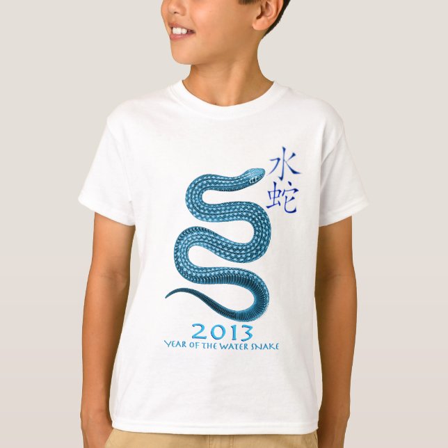2013 T-Shirt (Front)