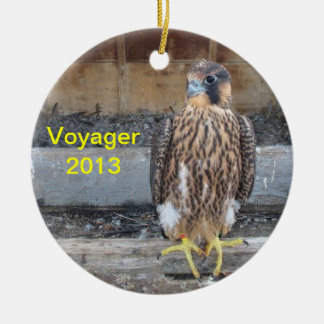 2013 Voyager Ornament