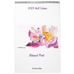 2013 Wall Calender Calendar