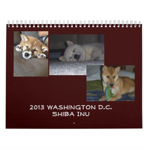 2013 Washington DC Shiba Inu Calendar