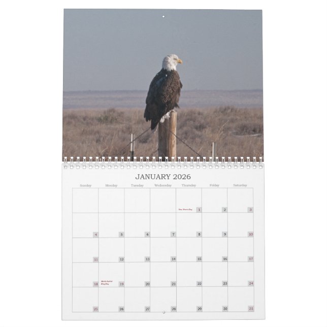 2013 Wells Ranch Calendar (Jan 2026)