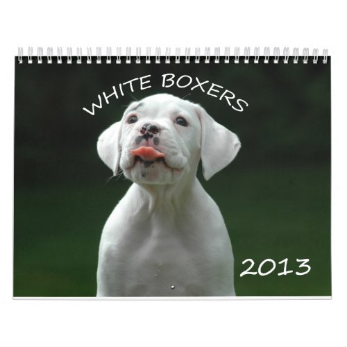 2013 White Boxer Calendar