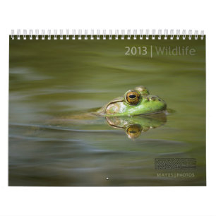 2013 WILDLIFE CALENDAR BY MAYES PHOTOS