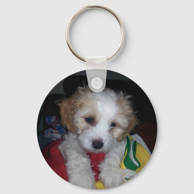 2014-07-30 23.50.12.jpg keychain (Front)