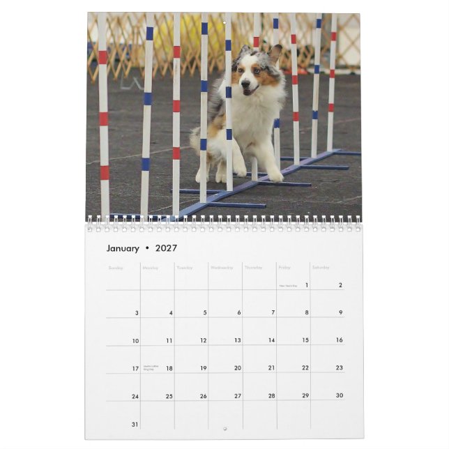 2014 Australian Shepherd Agility Calendar (Jan 2027)