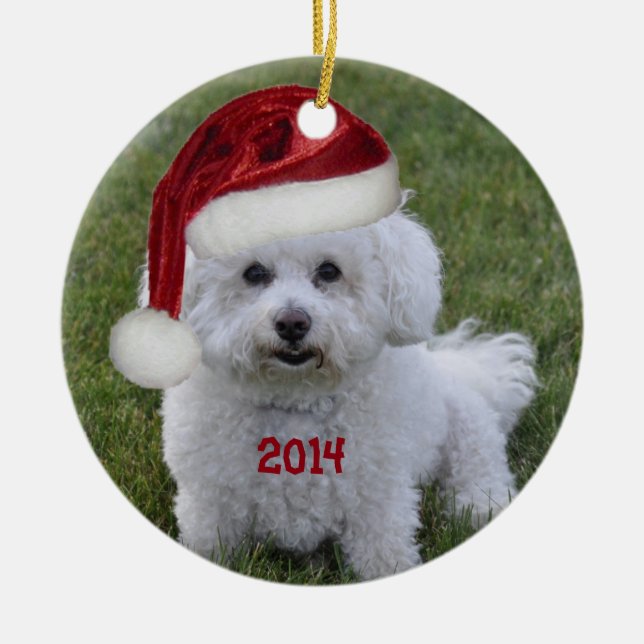 2014 Bichon Frise Ornament (Front)