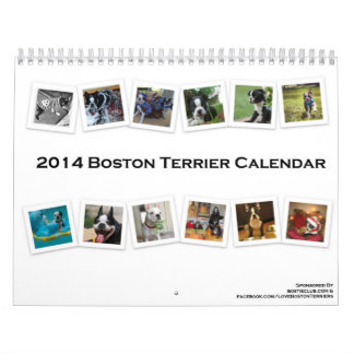 2014 Boston Terrier Calendar
