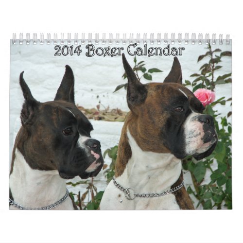 2014 Boxer Calendar