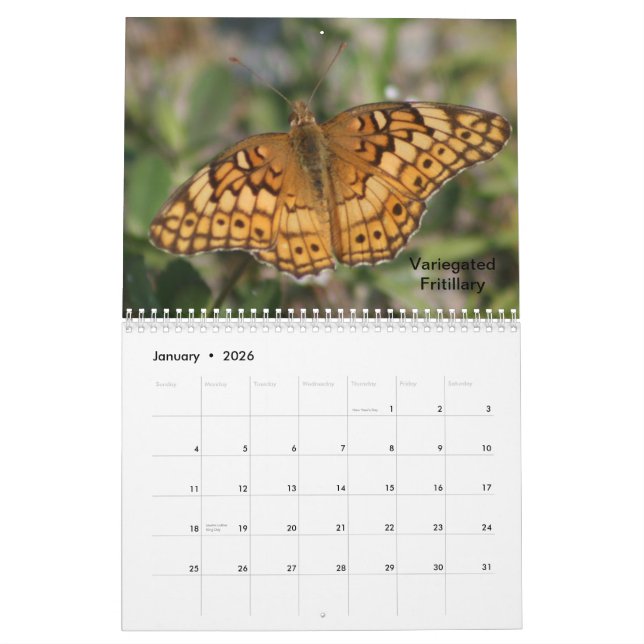 2014 Butterfly Calendar (Jan 2026)