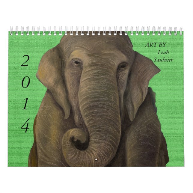 2014 Calendar Art By Leah Saulnier (Cover)