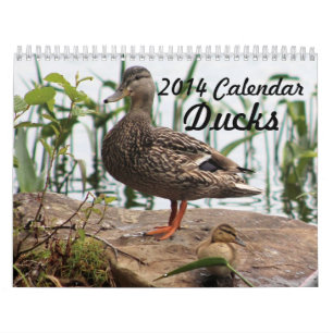2014 Calendar Ducks
