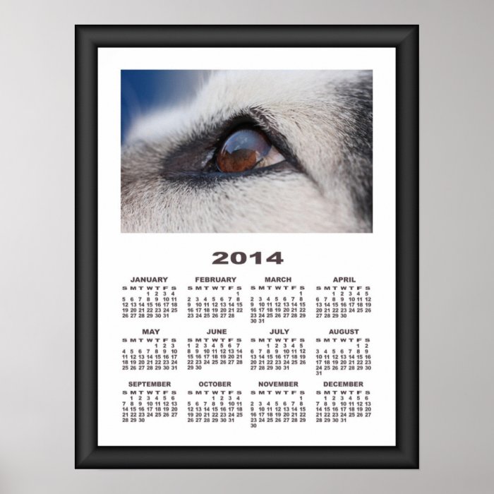 2014 Calendar (Framed) Moon Reflection On Dogs Eye Posters