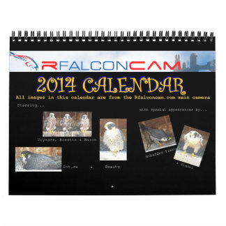 2014 Calendar - Main Cam Collages