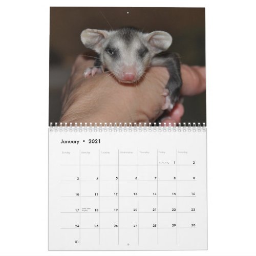 2014 Calendar _ Possum Babies