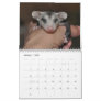 2014 Calendar - Possum Babies