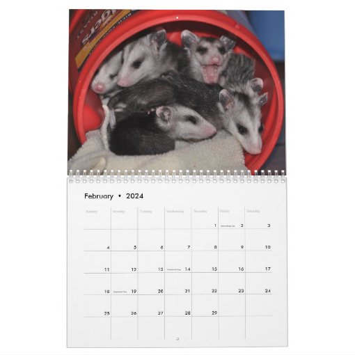 2014 Calendar Possum Babies Zazzle