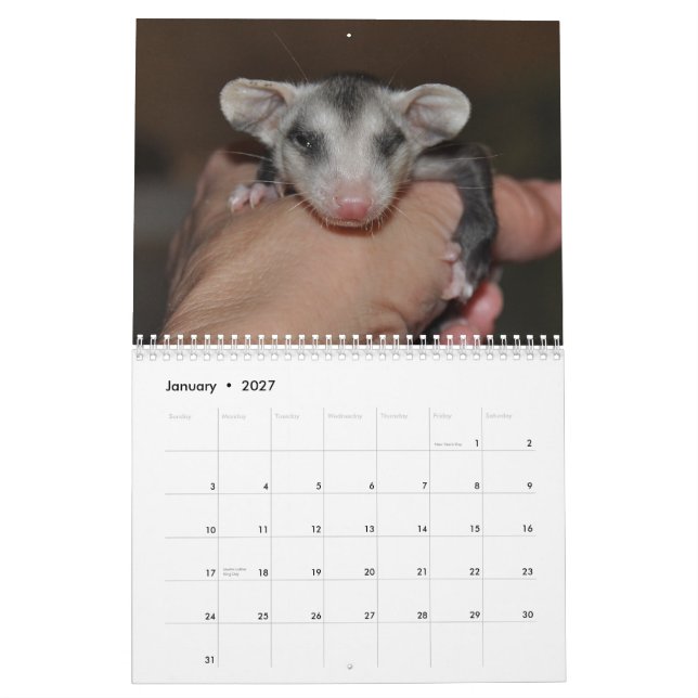 2014 Calendar - Possum Babies (Jan 2027)