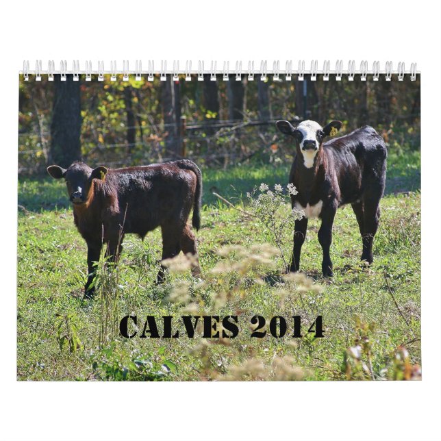 2014 Calves Calendar (Cover)