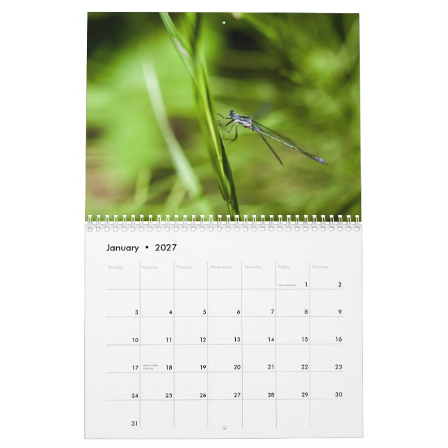 2014 Dragonfly and Damselfly Calendar (Jan 2027)