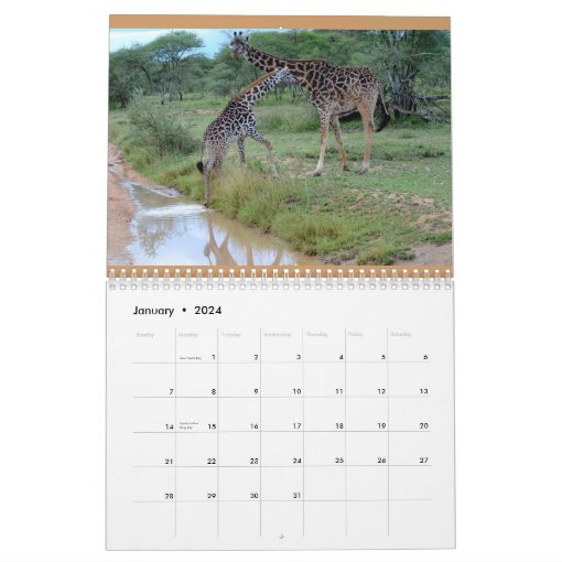 2014 Giraffe's love calendar | Zazzle