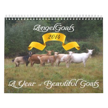 2014 Goat Calendar Beautiful Goats  Angelgoats by getyergoat at Zazzle