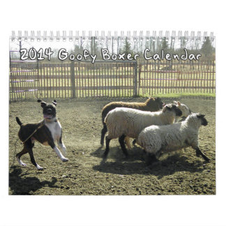 2014 Goofy Boxers Calendar