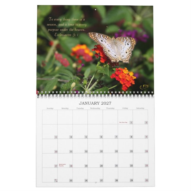 2014 Inspirations Calendar - Butterflies (Jan 2027)
