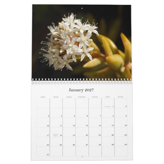 2014 Little Critters Calendar (Medium) (Jan 2027)