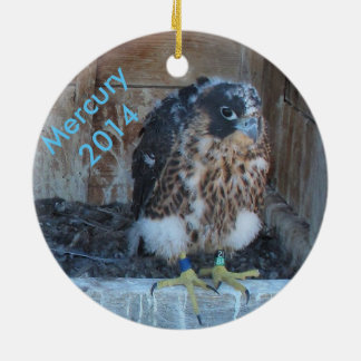 2014 Mercury Ornament
