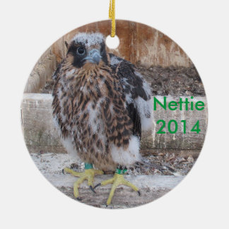 2014 Nettie Ornament