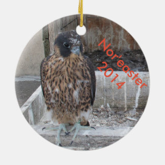 2014 Nor'easter Ornament