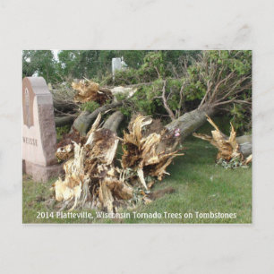 2014 Platteville, Tornadoes Memorabilia Postcard