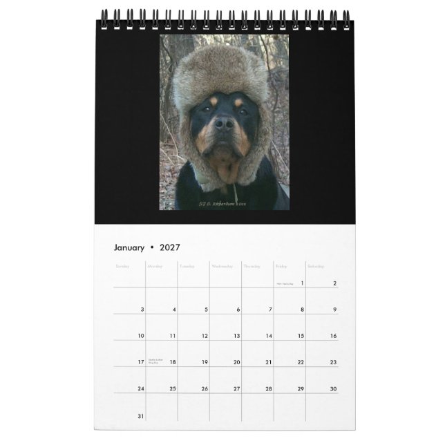 2014 Rottweilers By Diane Calendar (Jan 2027)