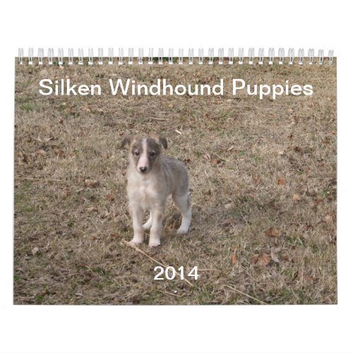 2014 Silken Windhound Puppies 1_2 Calendar