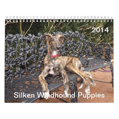 2014 Silken Windhound Puppies 2_4 Calendar