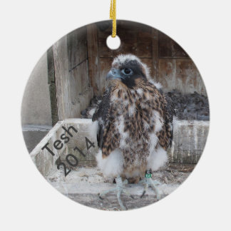2014 Tesh Ornament