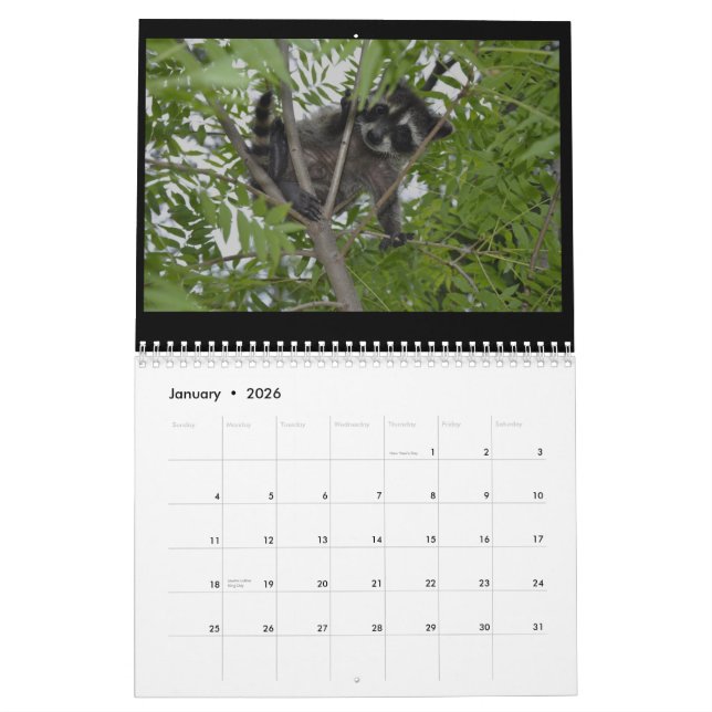 2014 Wildlife Calendar - Baby Raccoons (Jan 2026)