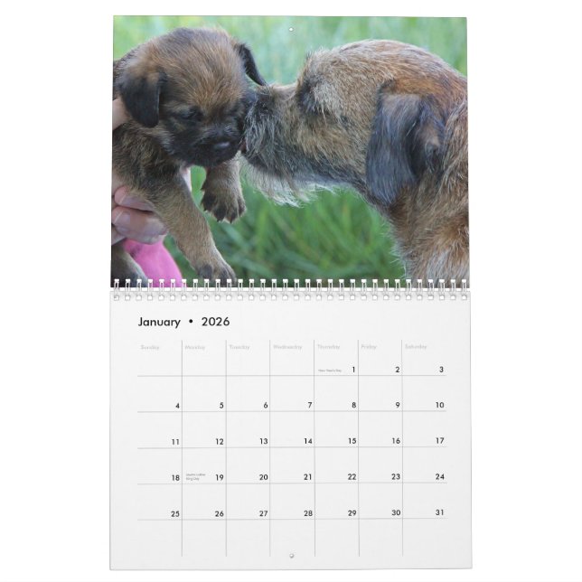 2015 Border Terrier Calendar (Jan 2026)