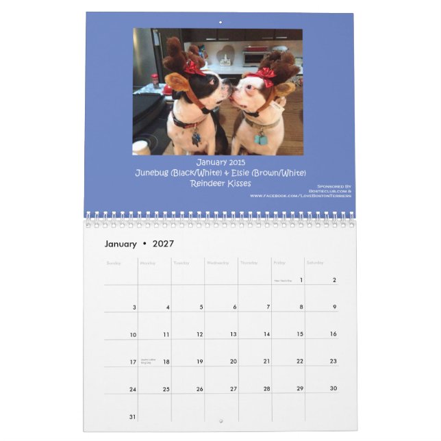 2015 Boston Terrier Calendar (Jan 2027)