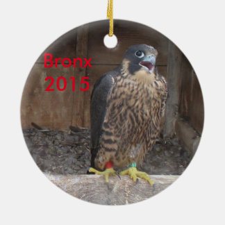 2015 Bronx Ornament
