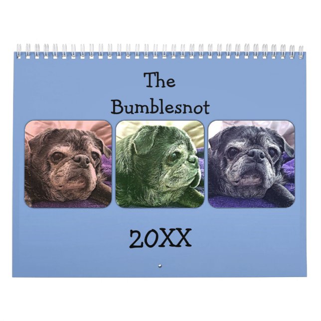 2015 Bumblesnot Calendar (Cover)