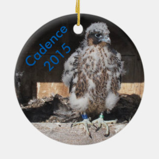 2015 Cadence Ornament