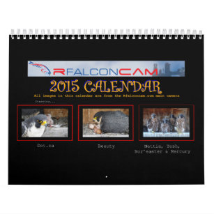 2015 Calendar - Main Cam Collages